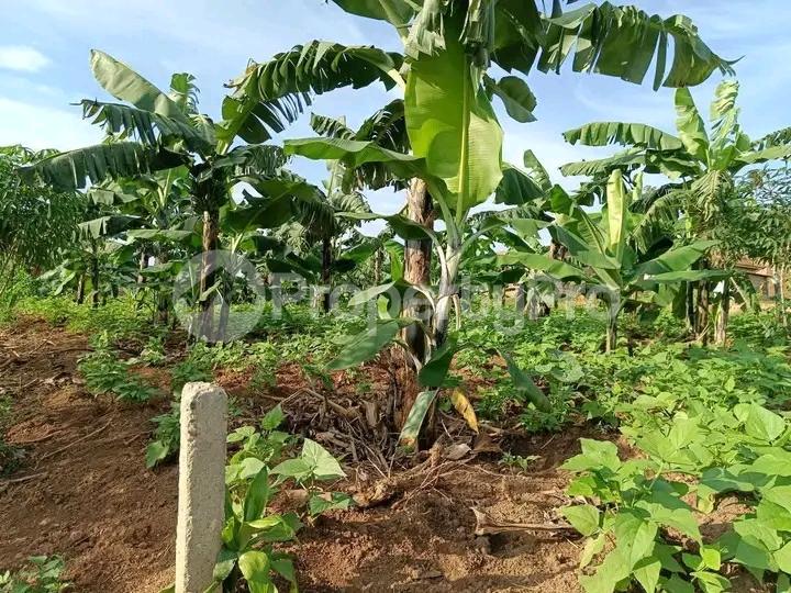 Land for sale Seeta bajjo road  Kampala Central Kampala Central - 2