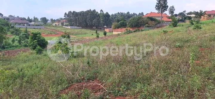Land for sale Nakwero (Canaan)  Gayaza Wakiso Central - 4