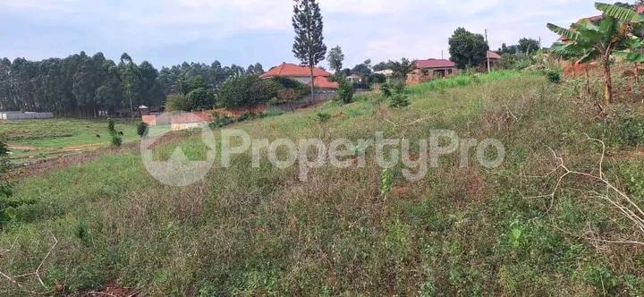 Land for sale Nakwero (Canaan)  Gayaza Wakiso Central - 2
