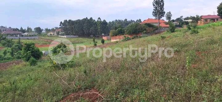 Land for sale Nakwero (Canaan)  Gayaza Wakiso Central - 3