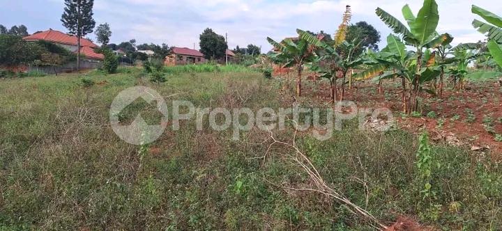 Land for sale Nakwero (Canaan)  Gayaza Wakiso Central - 1