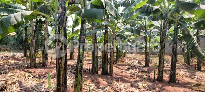 Commercial Property for sale Namugongo  Kampala Central - 4