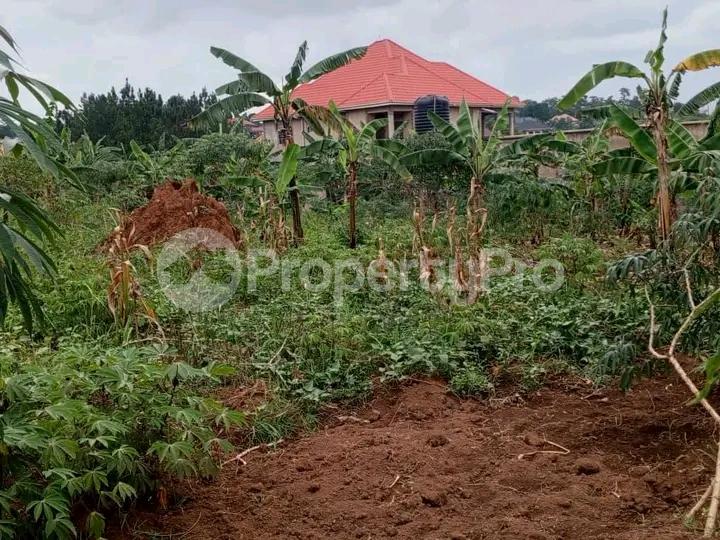 Land for sale Kasangati kati Wakiso Central - 5