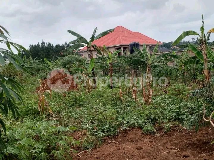 Land for sale Kasangati kati Wakiso Central - 3