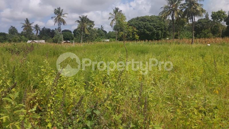 Residential Land for sale Kilifi South Kilifi South Kilifi