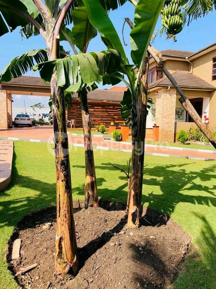 6 bedroom Apartment Block Apartment for sale Kira road  Kira Wakiso Central - 1