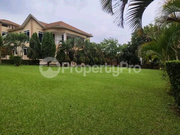 6 bedroom Bungalow Apartment for sale Rubaga Kampala Central - 4