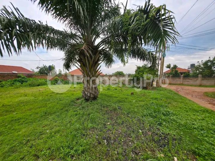 Land for sale Kyanja  Kampala Central Kampala Central - 3