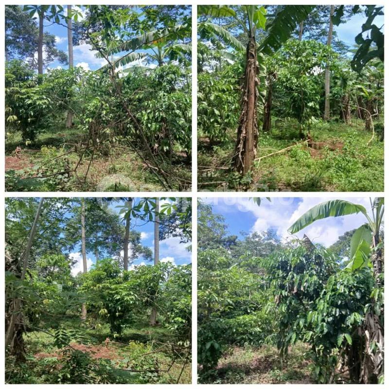 Land for sale Luwero town Luweero Central - 0