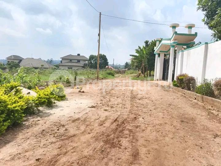 Land for sale Seeta bajjo Bajo Mukono Central - 3