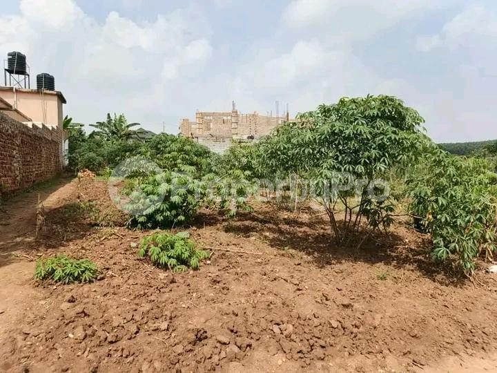 Land for sale Seeta bajjo Bajo Mukono Central - 4