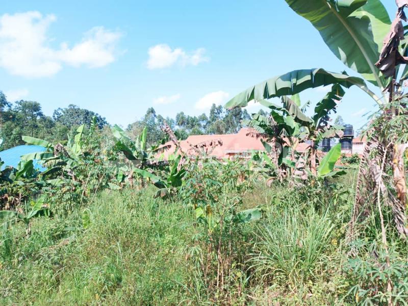 Land for sale Namugongo road  Kampala Central - 1