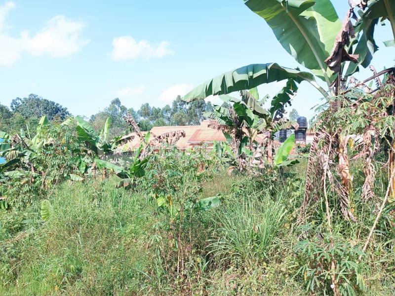 Land for sale Namugongo road  Kampala Central - 0