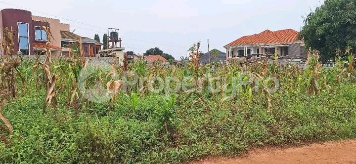 Land for sale Najjera buwaate  Kampala Central - 2
