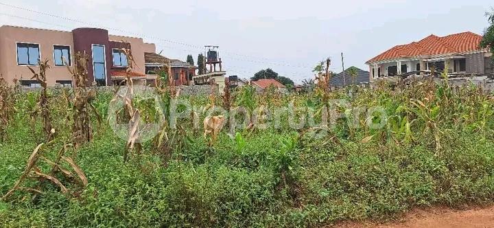 Land for sale Najjera buwaate  Kampala Central - 5
