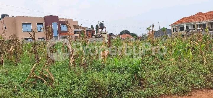 Land for sale Najjera buwaate  Kampala Central - 3