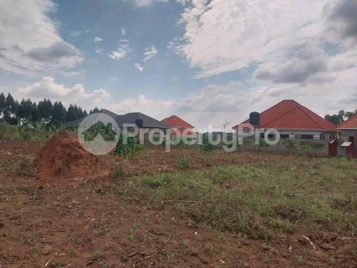 Land for sale Ndungu Gayaza Wakiso Central - 5