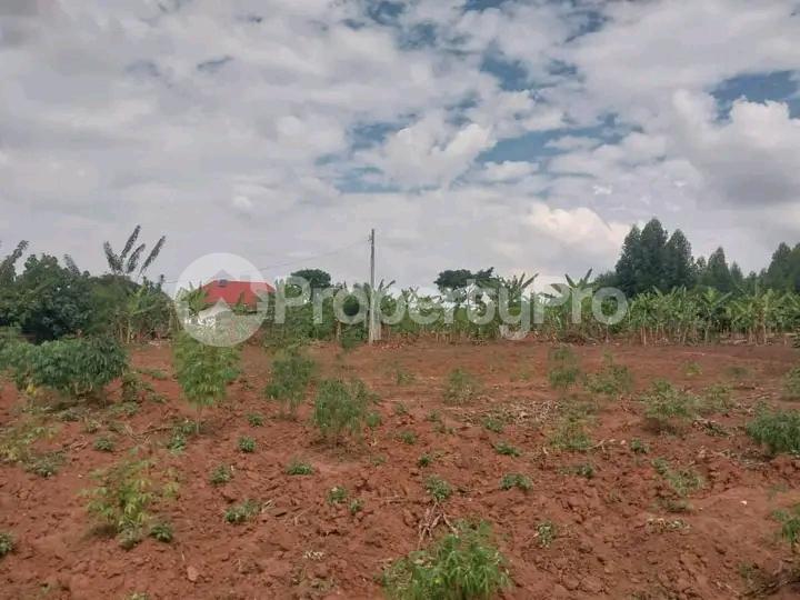 Land for sale Ndungu Gayaza Wakiso Central - 0