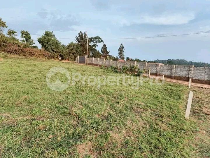 Land for sale Seeta  Wakiso Central - 3