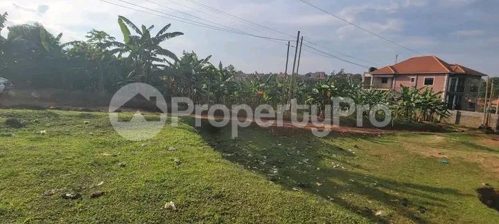 Land for sale Najjera road  Kampala Central Kampala Central - 5