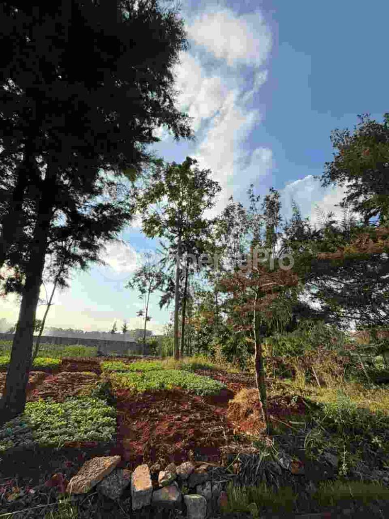 Residential Land for sale Loresho Loresho Nairobi