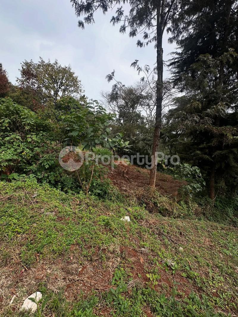 Land for sale Kitisuru Nairobi