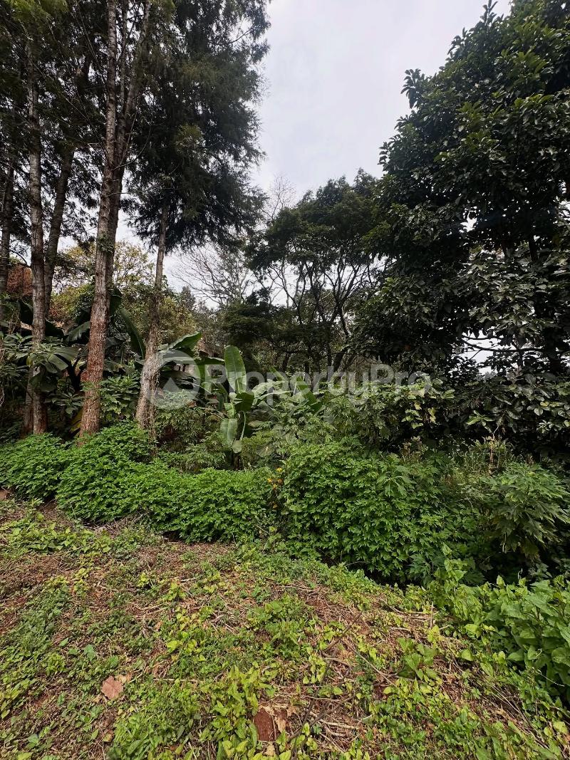 Land for sale Kitisuru Nairobi