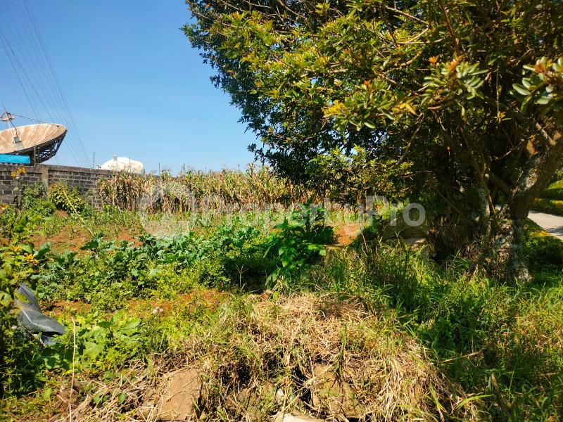 Land for sale Riara ridge Tigoni Limuru