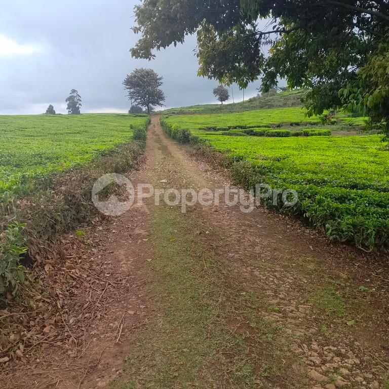 Land for sale Tigoni Limuru East Kiambu