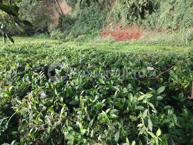 Farm for sale Juja Kiambu (PID 2AJMP) PropertyPro