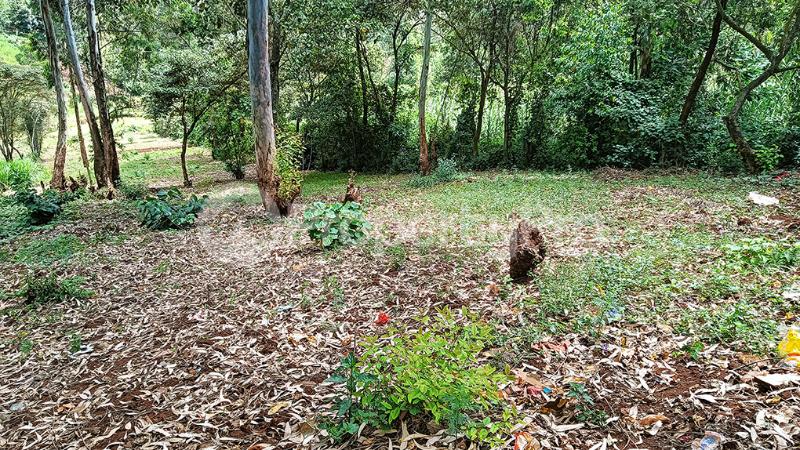 Land for sale Ruaka Nairobi