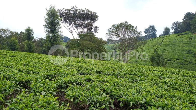 Land for sale Tigoni Ngecha Tigoni Kiambu