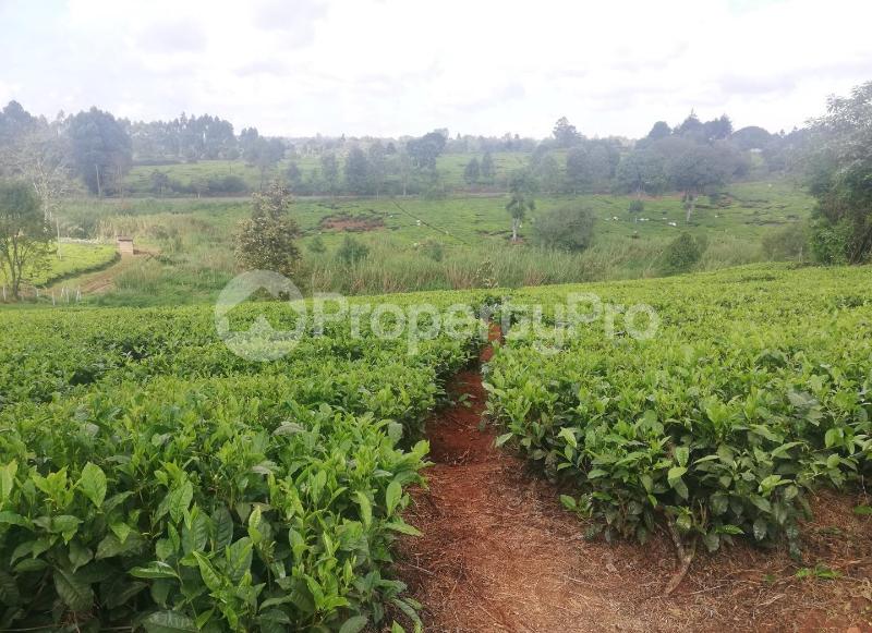 Land for sale Limuru, Tigoni Tigoni Limuru (PID 1ABZW) PropertyPro