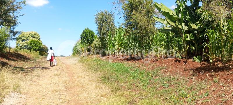 Land for sale Tigoni Limuru
