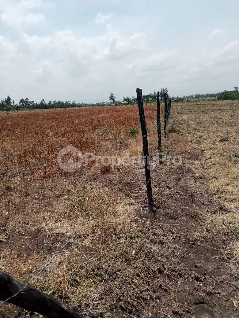 Land for sale Nanyuki Nanyuki