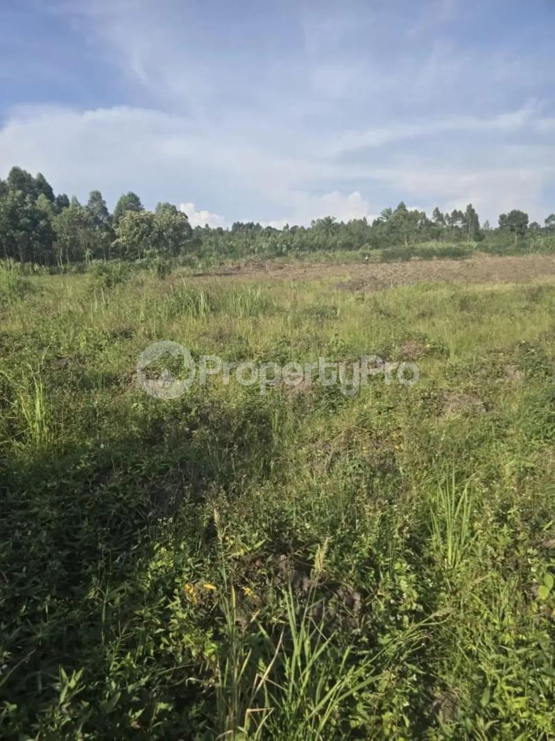 Land for sale Nyenga buikwe mbale Buikwe Central - 0
