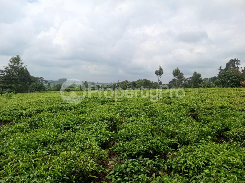 Land for sale Riara ridge, Nazareth Tigoni Limuru