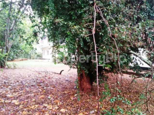 Land for sale Lavington Nairobi