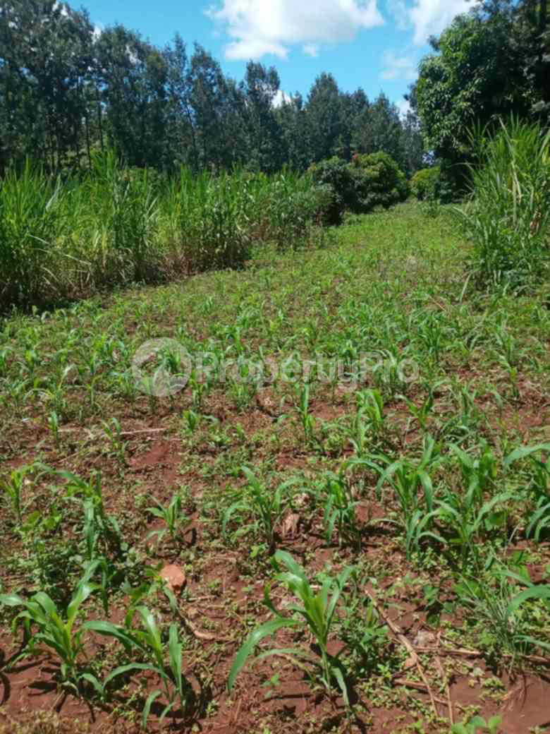 Land for sale Kenol Muranga