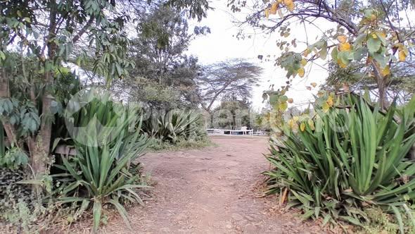 Land for sale Karen Nairobi