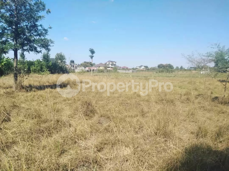 Land for sale Kamakis Ruiru