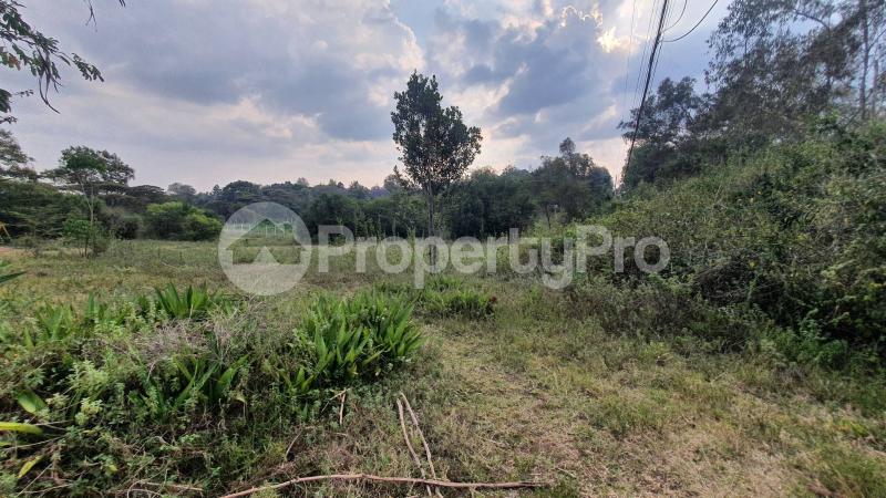 Land for sale Karen Nairobi - 0