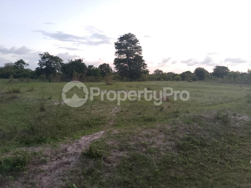 Land for sale Malindi Kilifi
