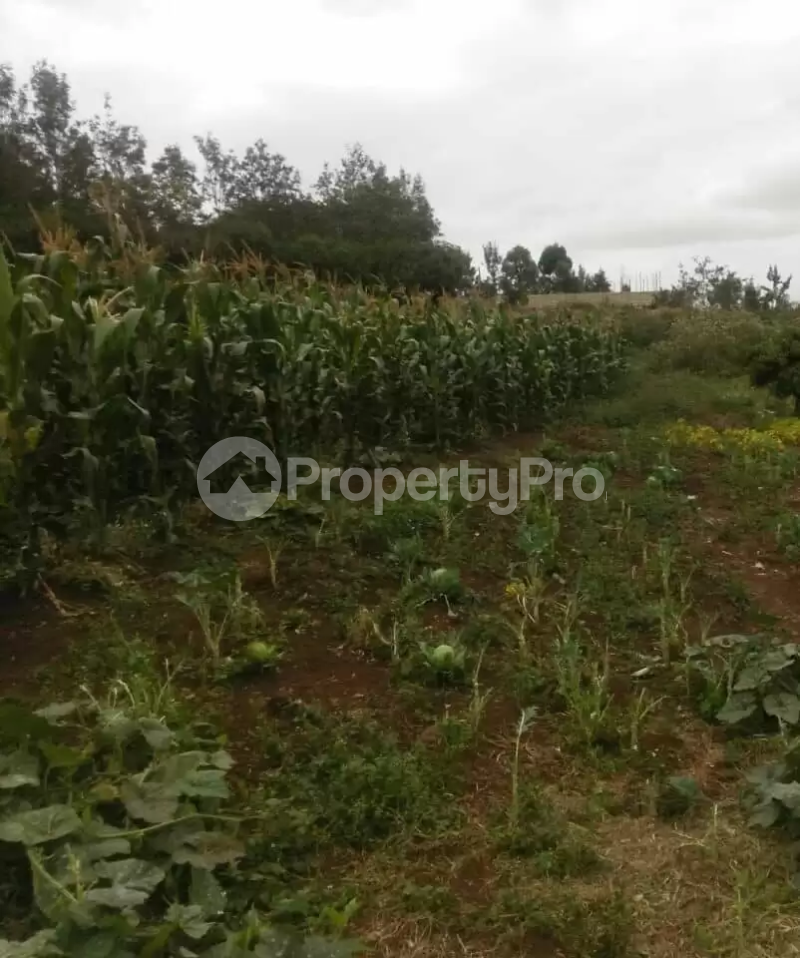 Land for sale Kitisuru Nairobi