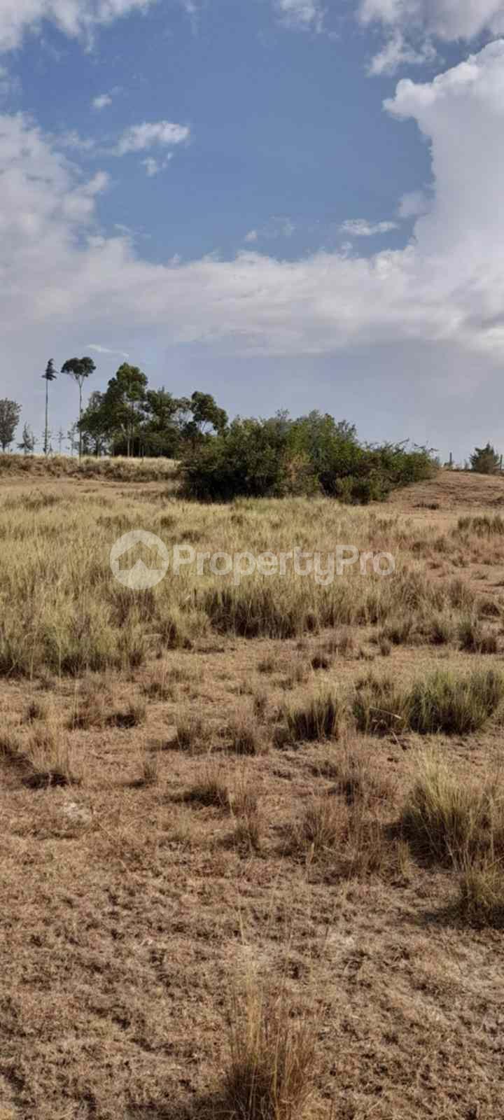 Land for sale Nanyuki Nanyuki