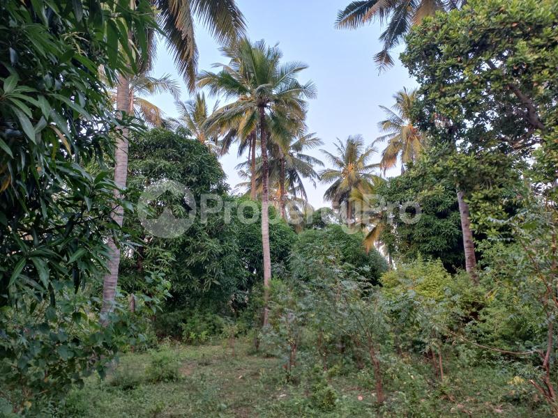 Land for sale Watamu Watamu