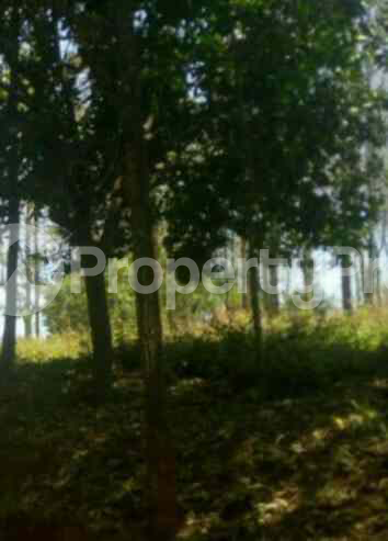 Land for sale Ruaka Nairobi