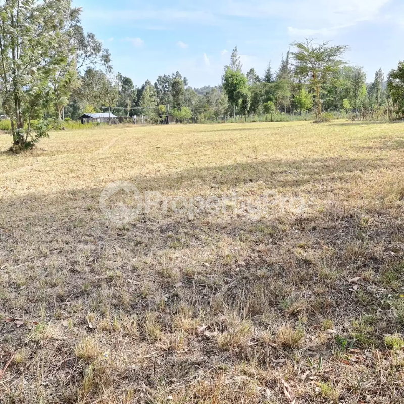 Land for sale Nanyuki Nanyuki