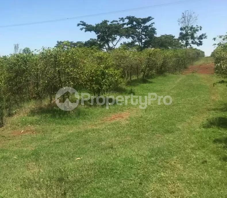 Land for sale Kamakis Ruiru