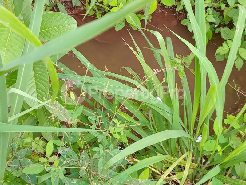 Commercial Land for sale mtisoni Taveta Taita-Taveta